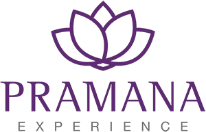 Pramana Experience